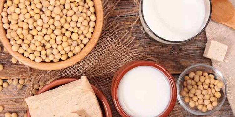 Is soy truly unhealthy for you? Let us dispel a few fallacies regarding soy protein.